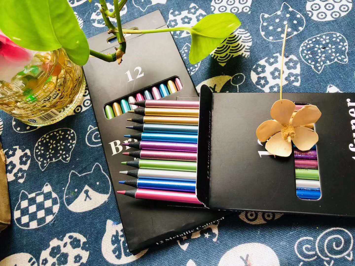 This Model Brutfuner Metallic Color Lead Gold Silver Pencil12 Color Black Wood Color Painting Special Pencil