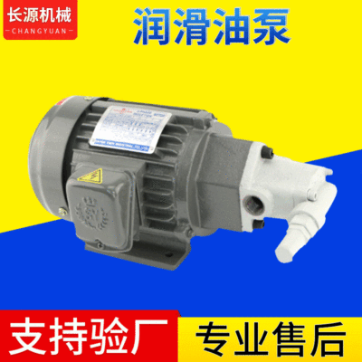 工廠供應ROP-25A擺線油泵 帶調壓潤滑油泵 台灣油泵電機組可定制