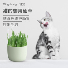 �p��؈��؈�������ԷN��؈��ʳ����Nֲ���b��ë��С����OEM