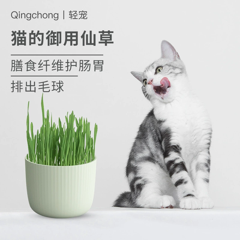 Легкая кошка Трава кошачья мята в горшках семена кошка закуски набор для посадки домашних животных меховой шар маленький цветочный горшок OEM
