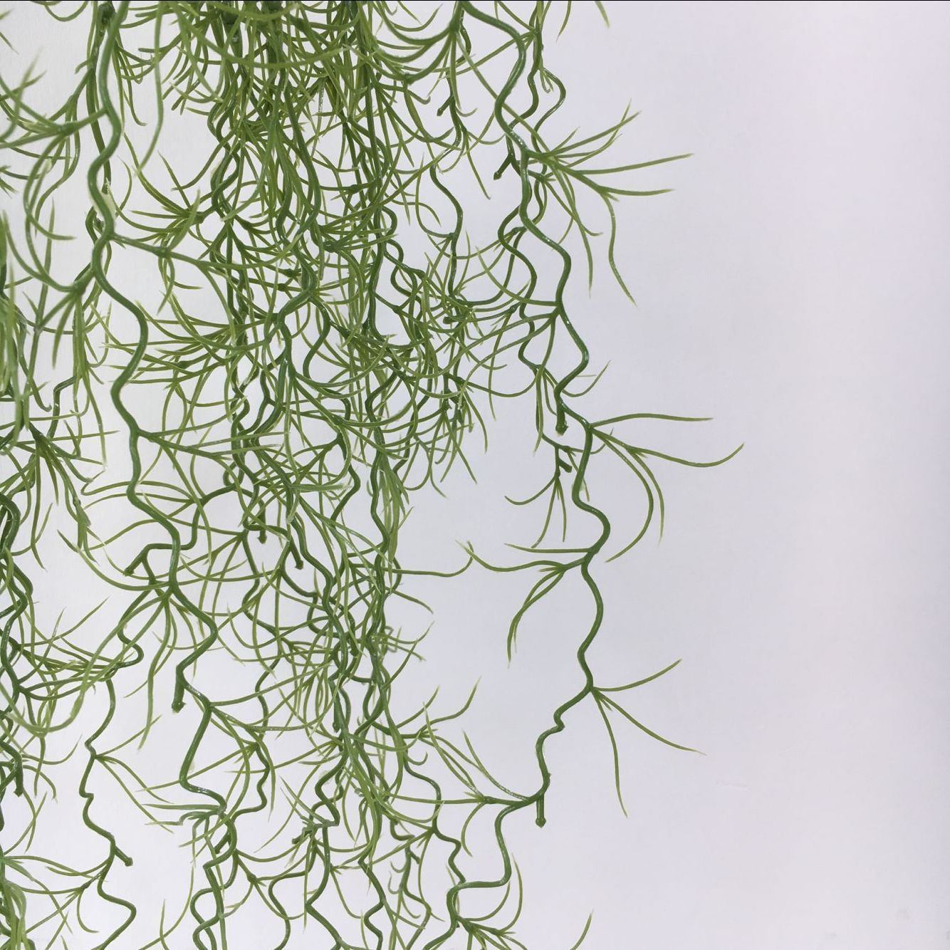 F3096843C178BD9899EC5CC6452D00