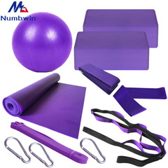 Yoga brick 11-piece set 25cm yoga ball latex pull towel stretch belt 2080 resistance ring 10 hole daisy rope yoga