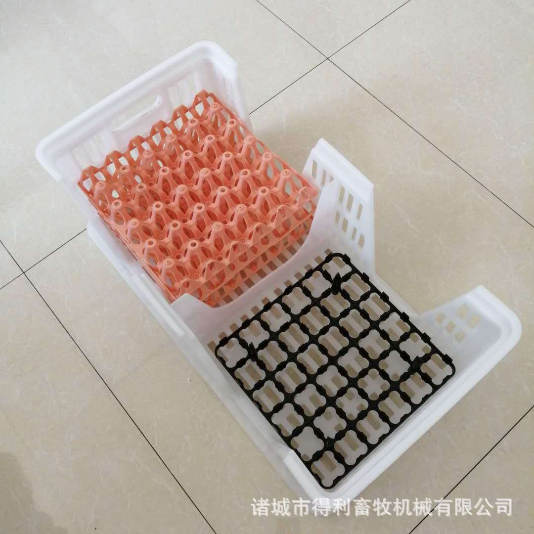 种蛋筐新式 配蛋托用塑料种蛋筐 种蛋运输筐 种蛋转运箱现货批发
