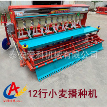 СNֲCșcCNͬʩNһwC7912m