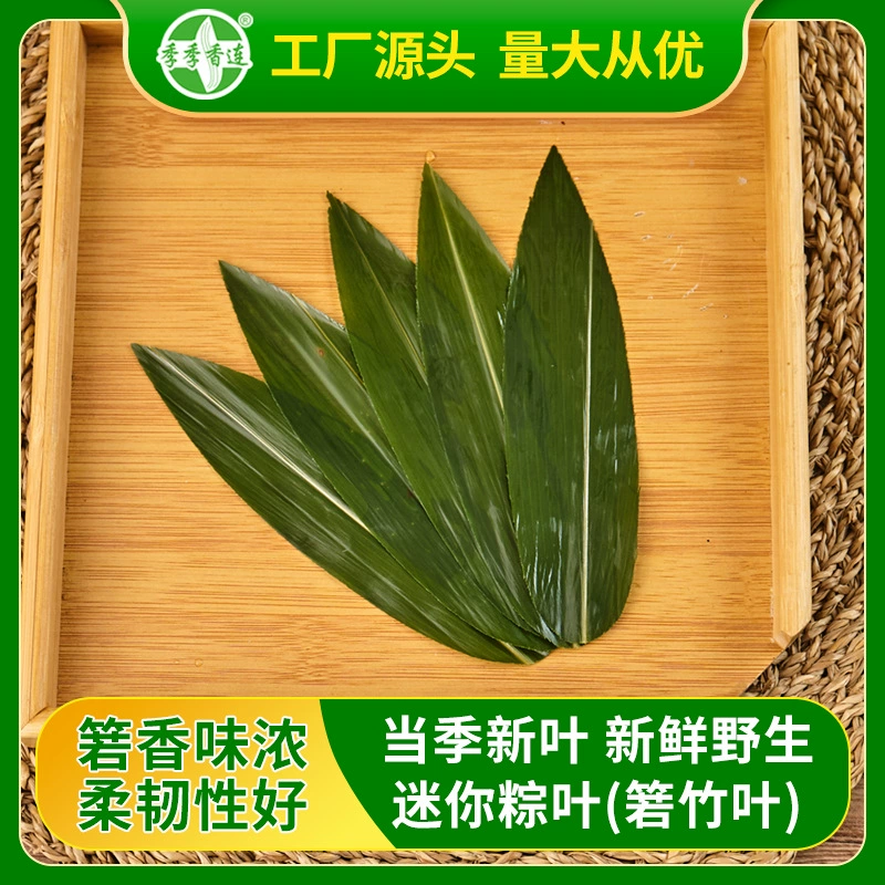 Хубэй Энши Цонфрукт Свежие Листья Индокаламуса