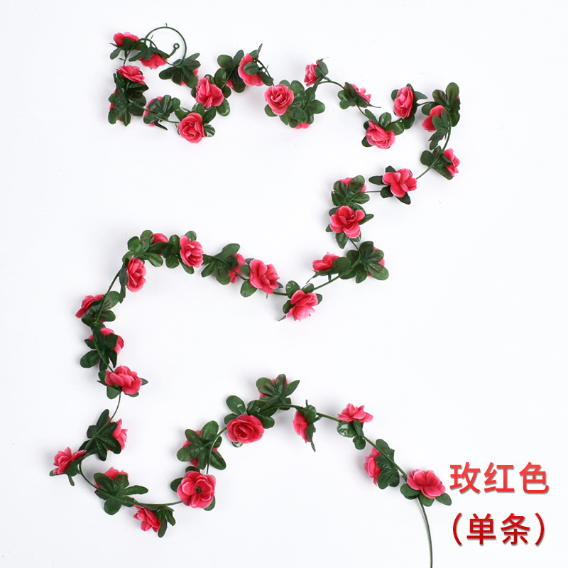 四十五头春款玫红色-1