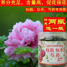 牡丹花专用肥料 牡丹花专用肥料品牌 图片 价格 牡丹花专用肥料批发 阿里巴巴