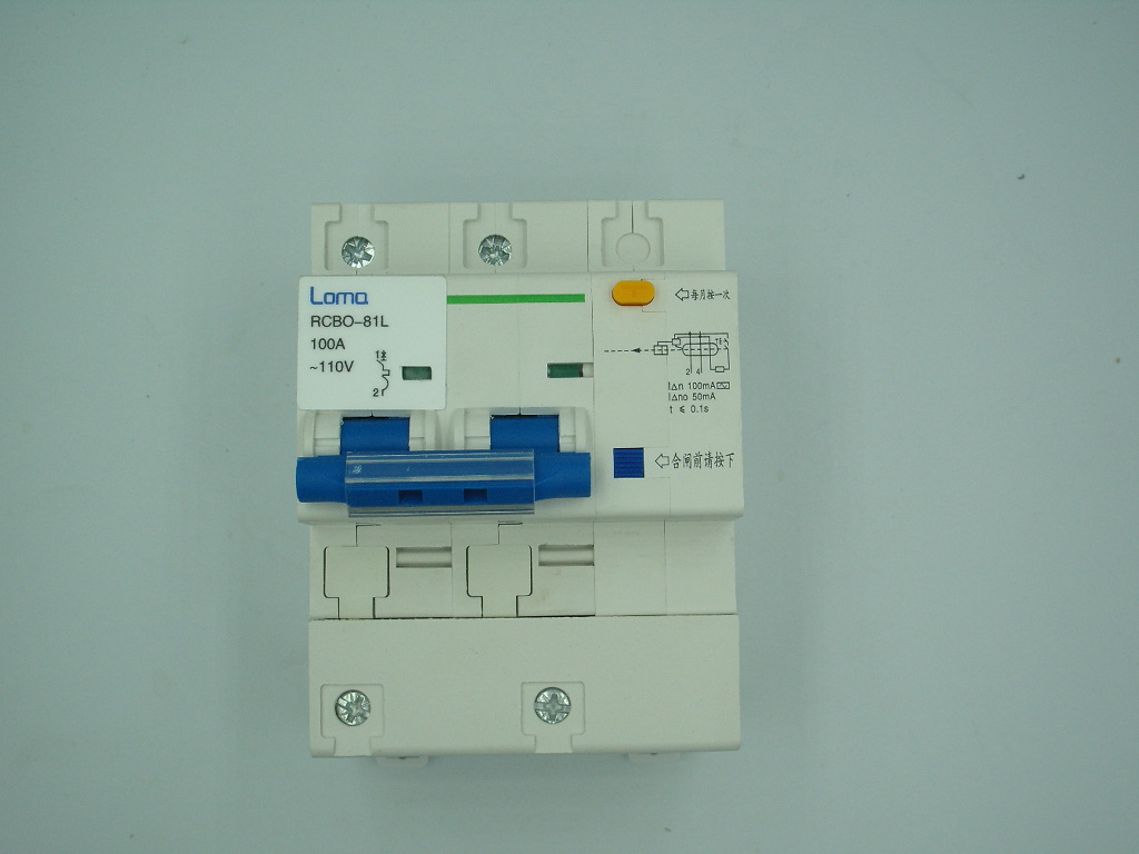 RB RCB RCD 100V 110v 120v ELE RCCB RCBO漏电断路器100A 240v-阿里巴巴