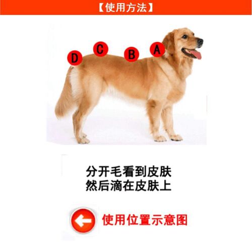 Giles external deworming for cats and dogs, fleas and lice, external deworming medicine for cats and dogs, external drops for cats and dogs