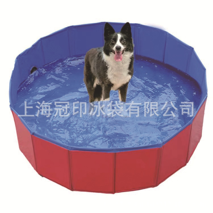 宠物游泳池4