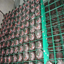 江西省食用菌網格培養架河南工廠化大棚養殖蘑菇架平菇出菇架規格