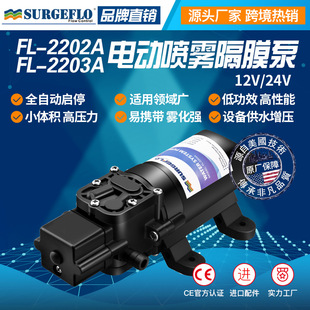 SֱN12v/24V΢͸Ĥ ܇dϴ܇CĤ 늄ӇF