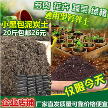 天然泥炭土黑土腐殖土阳台种植种菜营养土花土植物有机肥料大包邮