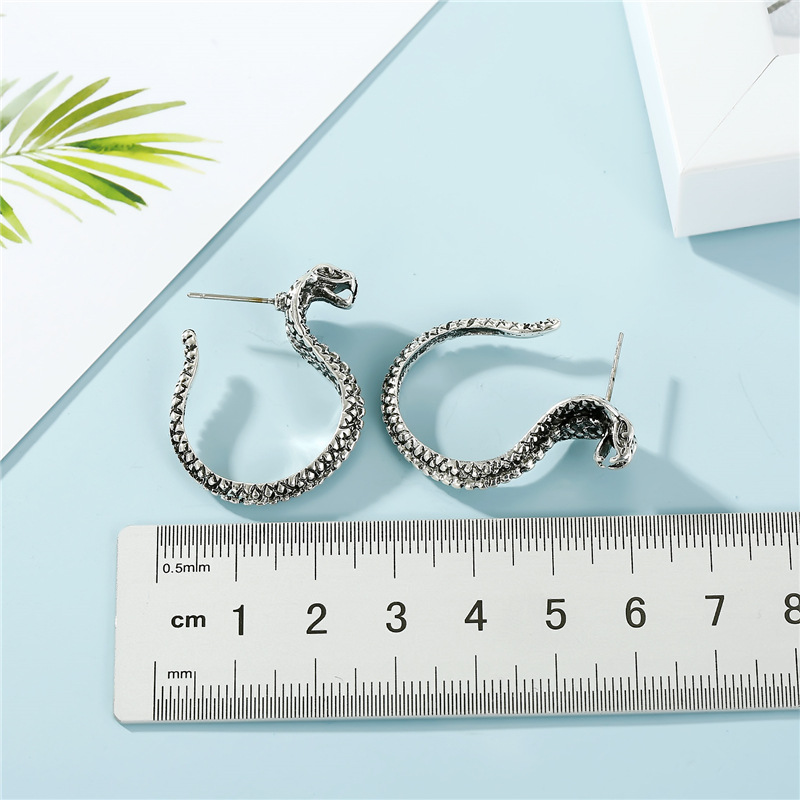 Retro Snake Earrings Korea Earrings Foreign Trade Ancient Silver Cobra Earrings Alloy Earrings display picture 3