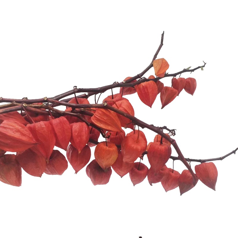 微信图片_20200422224036