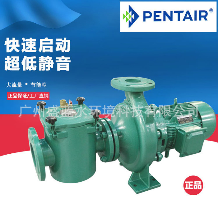 PENTAIR bintel serie XCP bomba de piscina comercial filtro de baño bomba de succión de circulación bomba de agua de hierro fundido grande