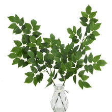 �S�ҿ羳3���ܘ��~�����ֲ���~�ӾGֲ����������~�b�������