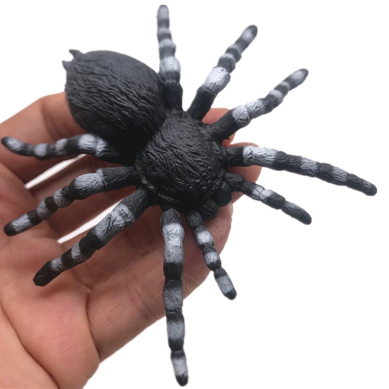 1b872dbf188c47c3223967ecd45bd3