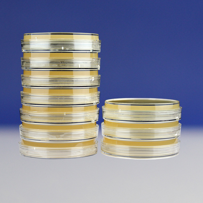 LB营养琼脂平板9cm    LB Nutrient Agar Plate    9cm*10个/包