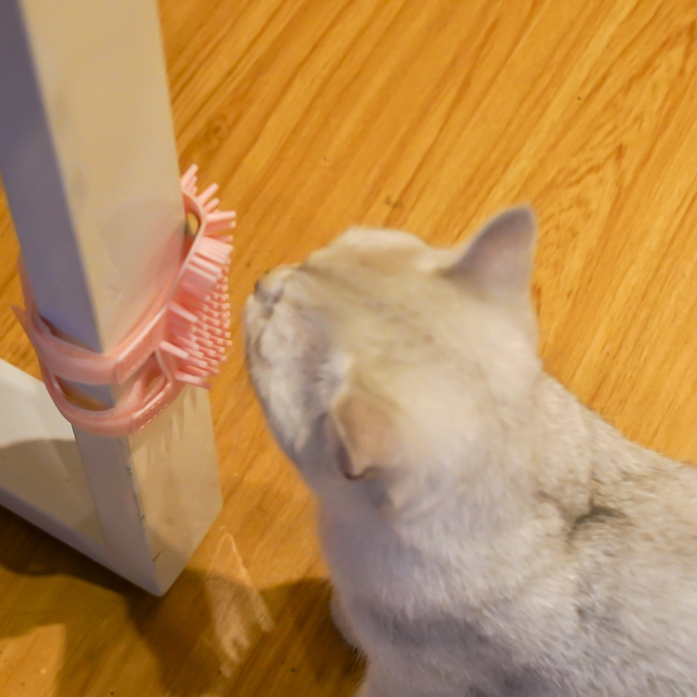 猫咪硅胶蹭痒板 (14).jpg