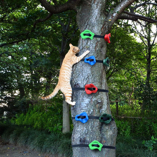 Amazon Children's Climbing Rock Fitness Training Plastic Playground Equipment Climbing Accessories Climbing Points Manufacturer Tree Climbing