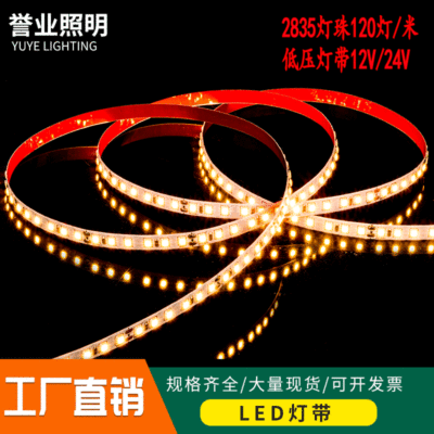 燈帶led2835室內家裝吊頂櫃台雙色雙面板24v高亮12v低壓led燈帶