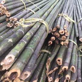 竹竿竹子价格 最新竹竿竹子价格 批发报价 价格大全 阿里巴巴