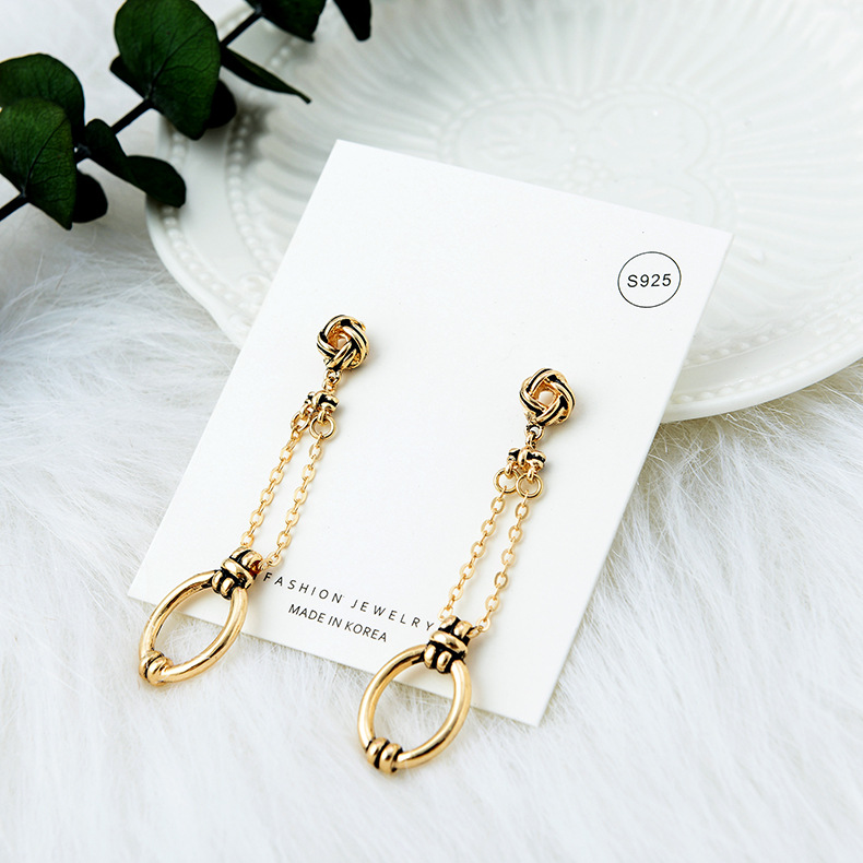 New Exaggerated Earrings S925 Silver Needle Popular Retro Long Wild Earrings Wholesale display picture 7