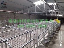 廠家專業供應畜牧養殖設備 母豬定位欄 整體熱鍍鋅豬限位欄
