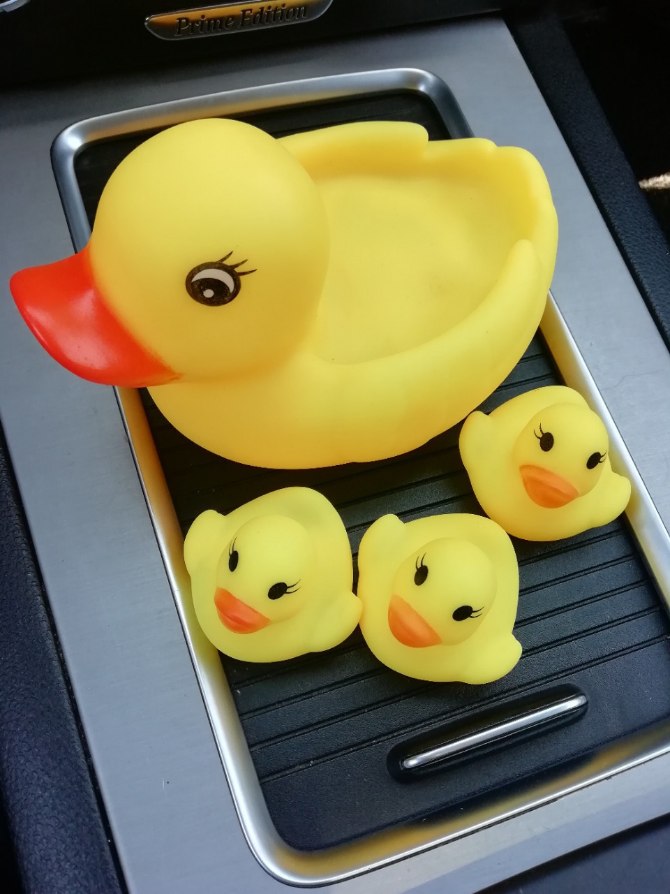 Environmental material drama water duck duck
