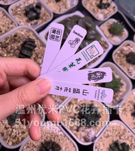 定做 UV印刷花卉塑料标签卡/树苗标签/塑料插卡/多肉PVC标签卡片