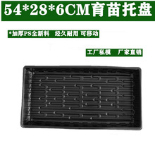 �羳���� ƽ�P�o��ѿ�˱P �L���� ����P��˱P������ ����Nֲ�P