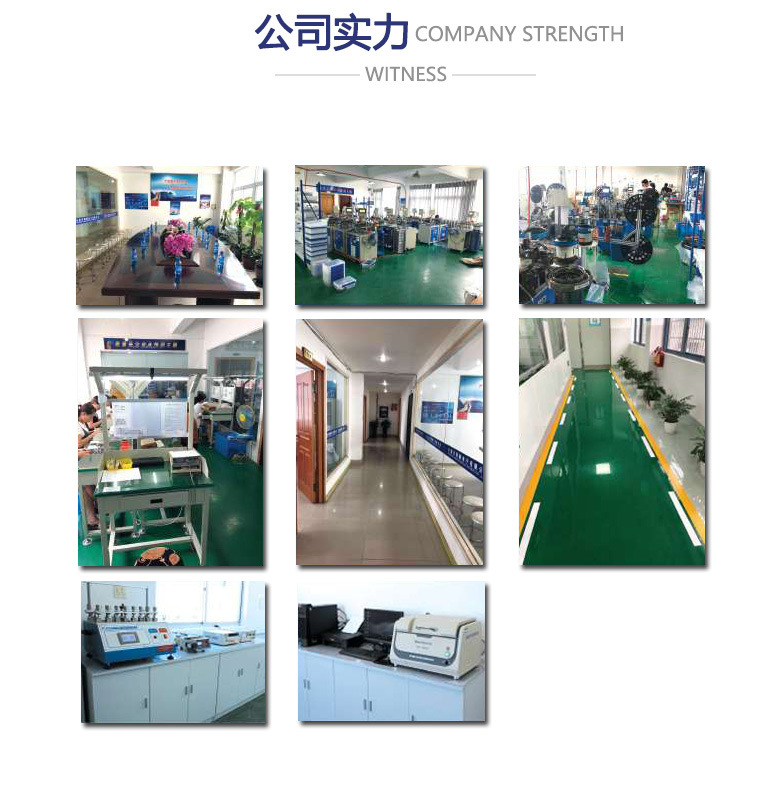 公司实力