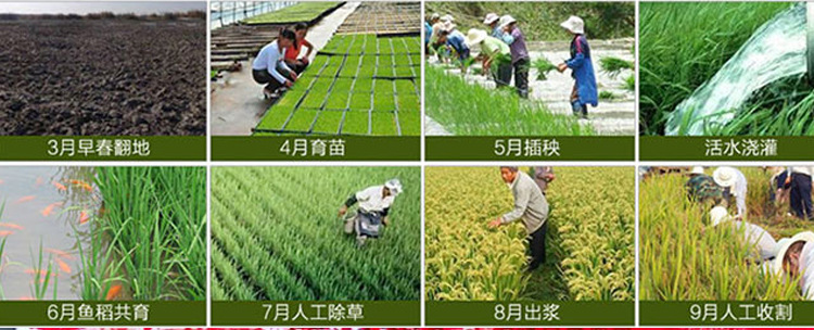 9097144345_571367684