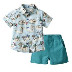 Summer New Children's Clothing Animal Print Short Sleeve Shirt and Casual Shorts Set for Baby, Hot Sale