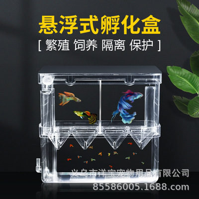孔雀魚繁殖盒魚缸隔離盒産卵孵化産房小魚苗幼大魚孵化器