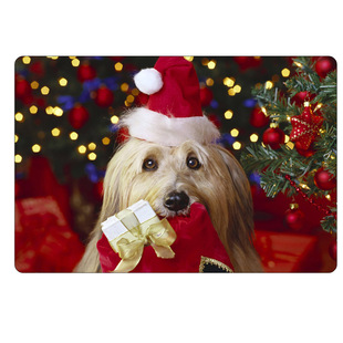 �羳�؉|�S��ֱ���؉|�}�Q���M�T�|���ҵ�̺�؉|�_�|��ˮ�b|��