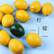 仿真水果柠檬食品拍照道具美食ins摄影道具背景摆件拍摄道具