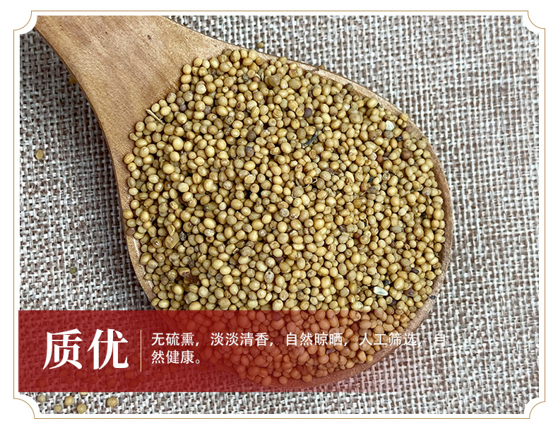 White Mustard Seed Bai Jie Zi 500g Dried Herbal Seeds for Decoction and Culinary Use quality and texture