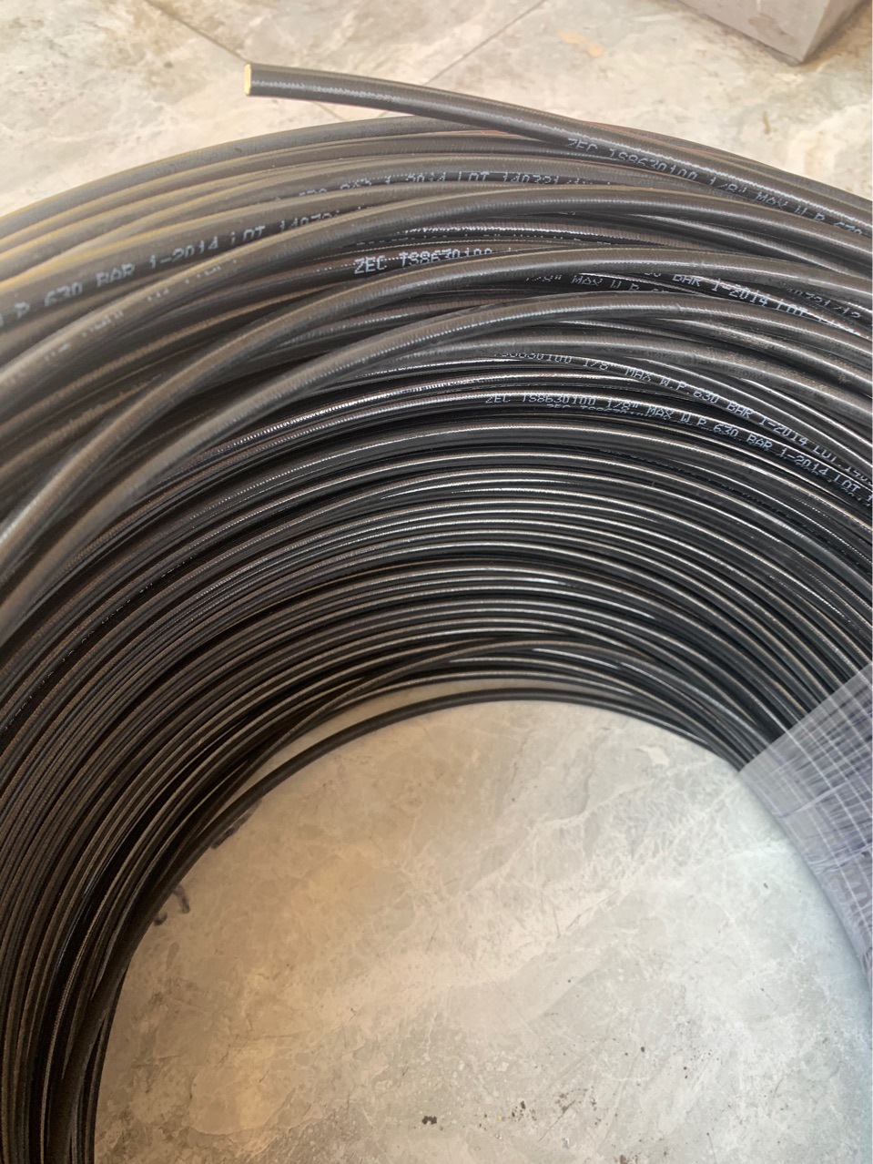 ZEC TS8630100 1/8 MAX WP.630BAR ����DN3��ѹ���ܼ��ܳ�