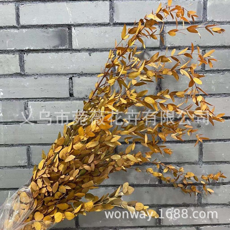 微信图片_20201209140408