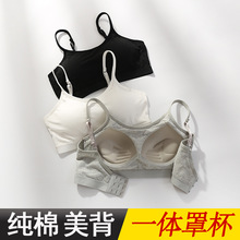 ���޷��߹������Ů��������Ůһ�w�W����׾۔n����Ĩ���\�ӱ���