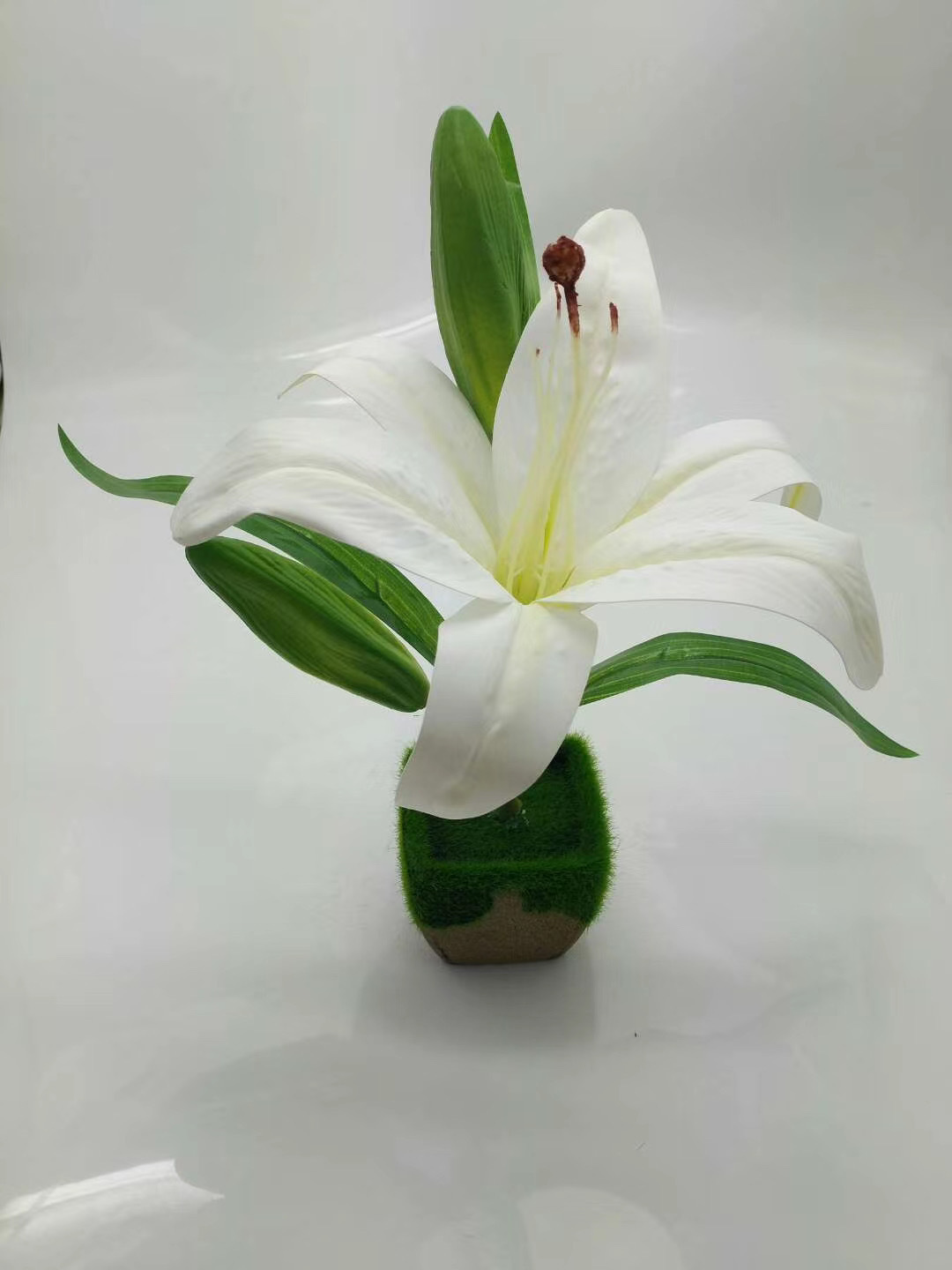 WeChat 圖片_20200704104530