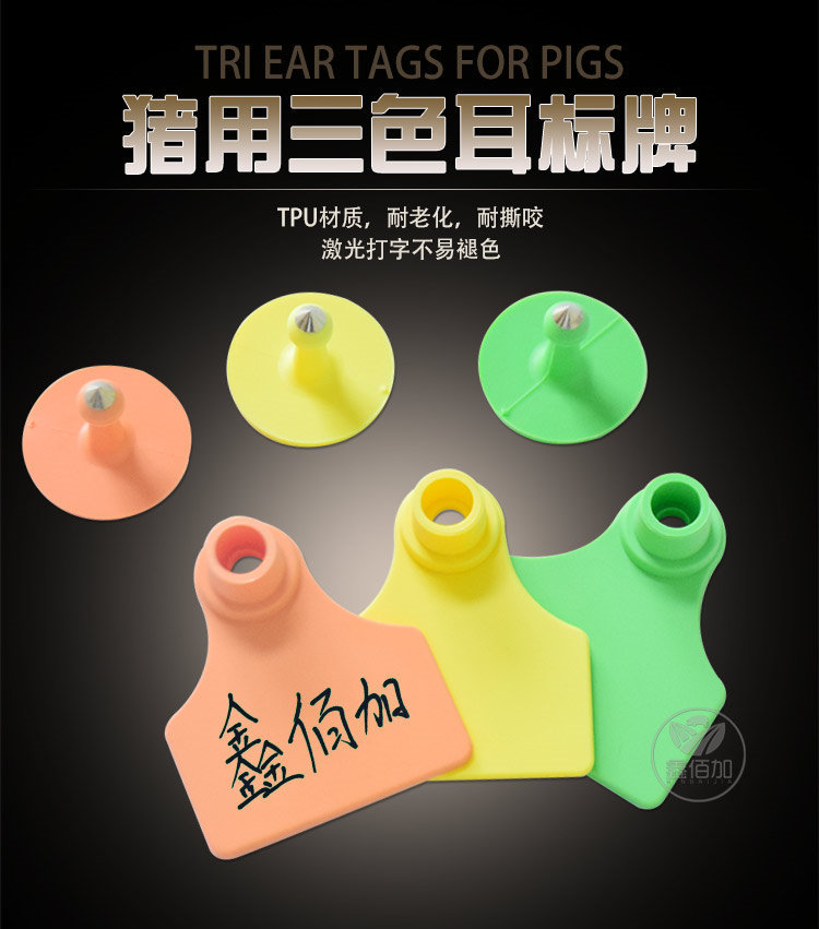 猪耳标AA详情页 (1).jpg