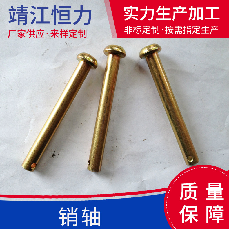 厂家供应高强度销轴  半圆头铆钉 盘头销轴连接件全螺纹抗剪切
