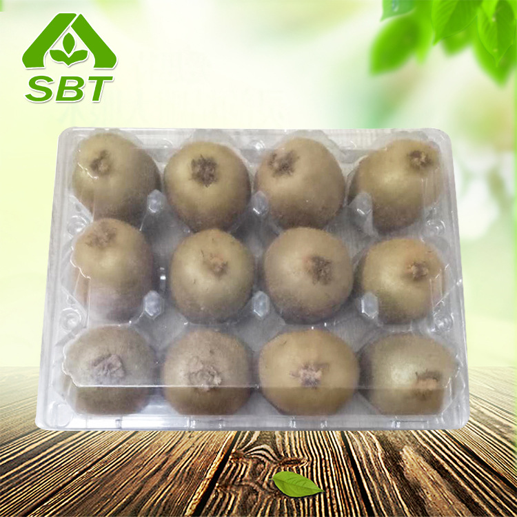 青岛厂家定制12个装一次性透明吸塑水果包装盒 猕猴桃秋果蛋托