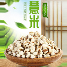 ����ș�����l ����s�Z���l޲��  �����Ҝ�޲�� ɢ�b�����r�aƷ