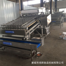 全自动剥虾机南美白去皮机鳞虾扒皮机大虾去皮机虾仁完整剥壳率高