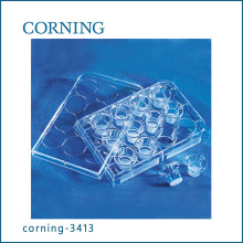 Corning 3413 TranswellǶ (̼֬Ĥ6.5mm 0.4um)