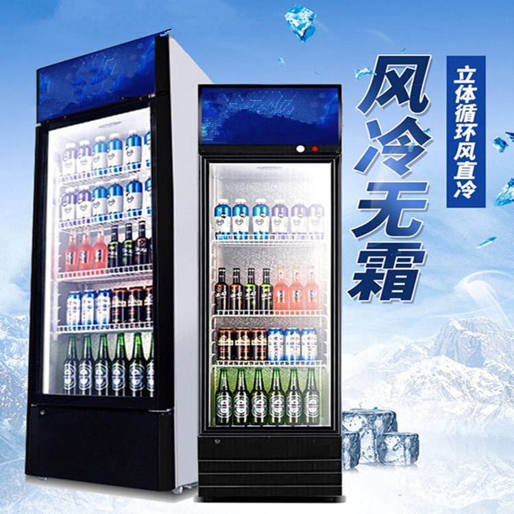飲料櫃立式展示櫃冷藏超市啤酒立式冰櫃商用單雙門三門直冷保險櫃